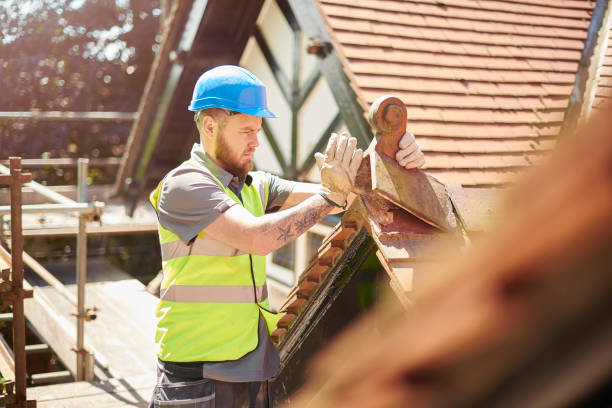 Best Metal Roofing Contractor  in Potomac Park, CA