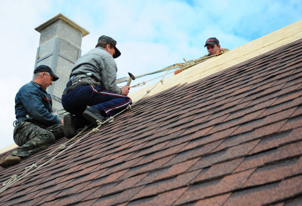 Quick and Trustworthy Emergency Roof Repair Services in Potomac Park, CA
